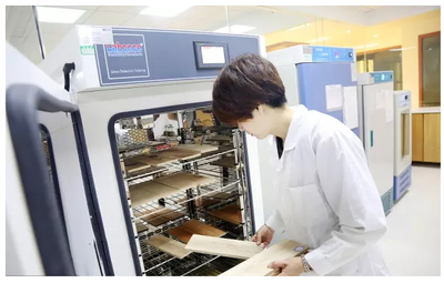 新材料技術研發迎來政策東風，國務院一周新政精準賦能